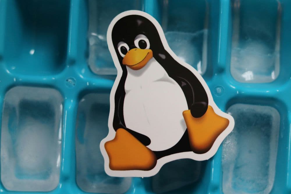 Linux no Desktop: O Pinguim Saiu da Toca e Está Conquistando o Mundo. Você Vem?